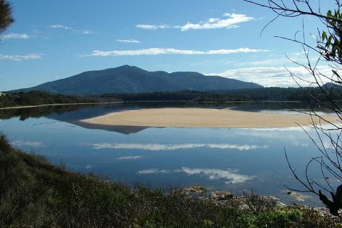 Bermagui Motor Inn - Broome Tourism 3