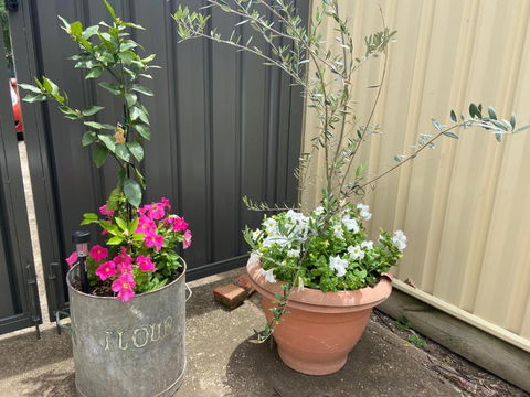 Bendigo Backpackers - Broome Tourism 2