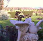 Springbank Bed  Breakfast - Broome Tourism