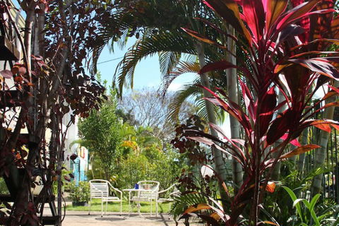 Asylum Cairns Hostel - Broome Tourism 3