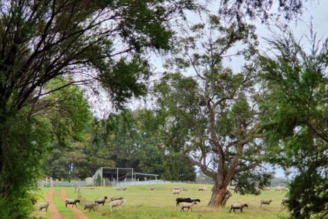 Cinnamon Coloureds Farm Cottages - Broome Tourism 7