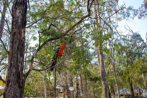 Kalimna Woods Cottages - Broome Tourism 2