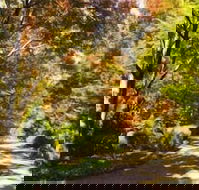 Chalets Lumineux - Broome Tourism