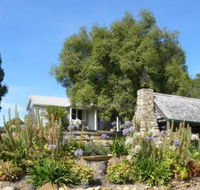 Sassafras Springs - Broome Tourism