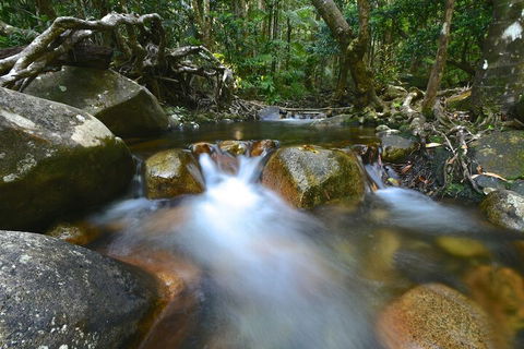 Daintree Cascades - Broome Tourism 1