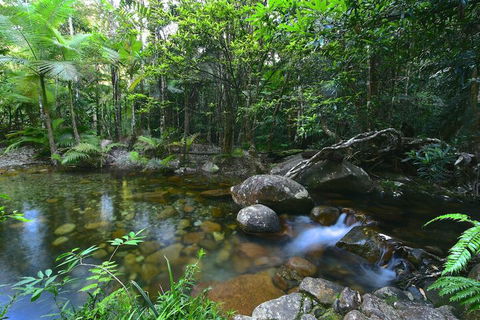 Daintree Cascades - Broome Tourism 5