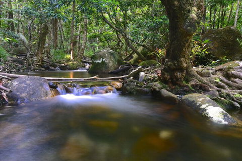Daintree Cascades - Broome Tourism 6