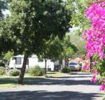 BIG 4 Hay - Broome Tourism