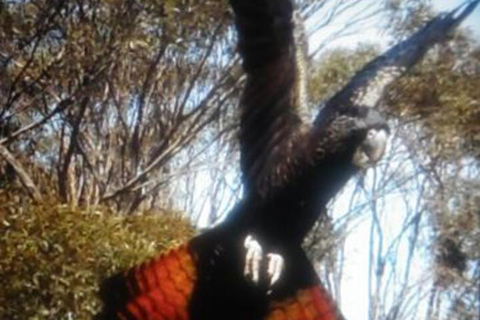 Cooinda Holiday Village - Broome Tourism 1