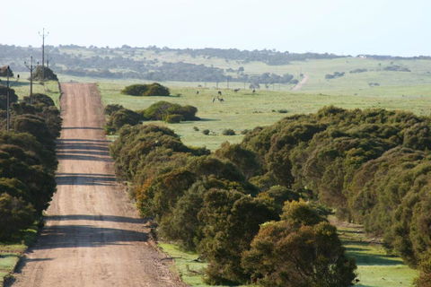 Almonta Park Lodge - Broome Tourism 4
