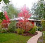 Dalrymples Guest Cottages - Broome Tourism