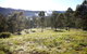 Yabbaloumba Retreat - thumb 2