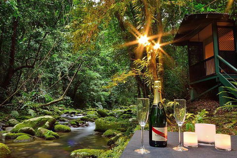Misty Mountains Rainforest Retreat - Broome Tourism 3