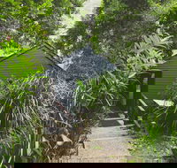 Montagues of Montville - Broome Tourism