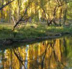 On The Banks - Broome Tourism