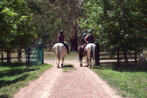 Halls On Falls Homestead - Broome Tourism 3