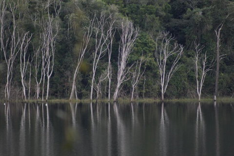 Mary Valley Views B + B - Broome Tourism 4