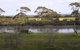 Seal Bay Cottages - thumb 5