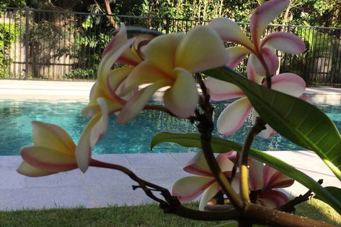 Arabella Garden Inn Motel - Broome Tourism 2