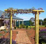 Lavendale Farmstay  Cottages York - Broome Tourism