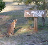Wallaby Ridge Retreat - Broome Tourism