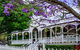 Wiss House Bed And Breakfast - thumb 0