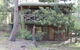 Sea Nest - thumb 4