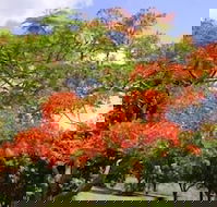 Eastwood Farm - Broome Tourism
