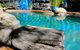 Vatu Sanctuary - thumb 2