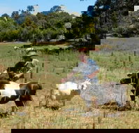 Country Cottages of Bridgetown - Broome Tourism