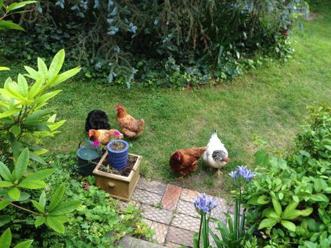 Southdown Cottage - Broome Tourism 3