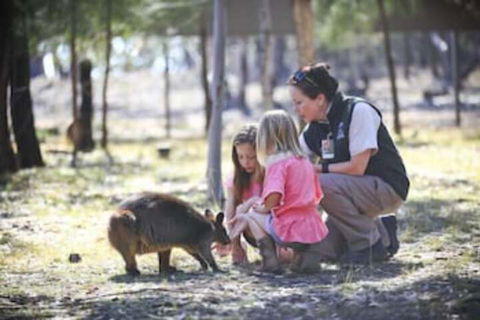 Billabong Camp Taronga Western Plains Zoo - Broome Tourism 6