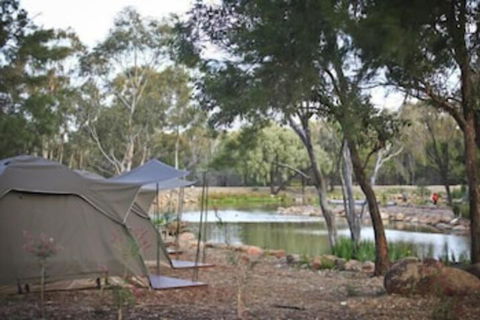 Billabong Camp Taronga Western Plains Zoo - Broome Tourism 2