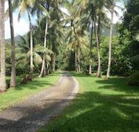 Cape Trib Farmstay - Broome Tourism