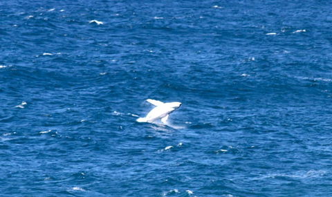 Sea Whispers - Broome Tourism 3