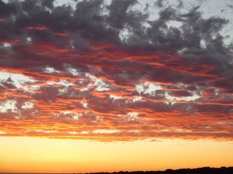 On The Deck @ Shark Bay - Broome Tourism 6