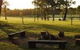 Wallaby Cottage Cute Accom In Bushland Setting - thumb 0