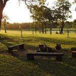 Wallaby Cottage Cute Accom In Bushland Setting - Broome Tourism 0