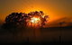 Lochinvar House B&B - thumb 3