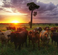 Myella Farm Stay - Broome Tourism
