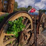 Allendale East SA Broome Tourism