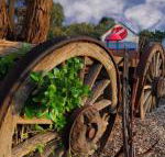 Bellum Hotel - Broome Tourism