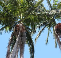 Tri Byron Bay - Broome Tourism