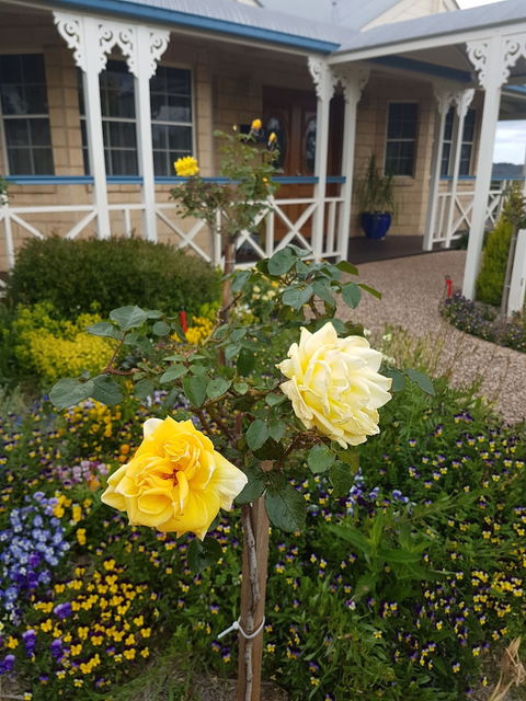 Grovely House Bed & Breakfast - Broome Tourism 3
