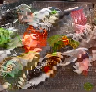 Toshi's Japanese Restaurant - Broome Tourism