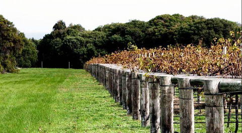 Arimia Restaurant And Winery - Broome Tourism 5
