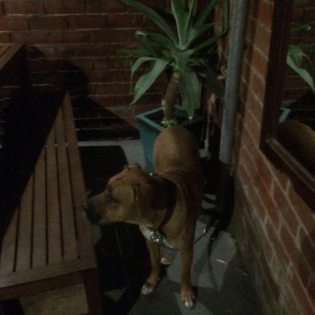 Biff's Bar And Grill - Broome Tourism 0