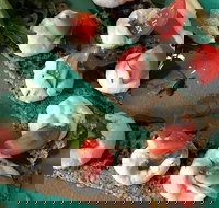 Namaste Nourishment - Broome Tourism