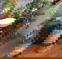 The Craft  Co Farm - Broome Tourism