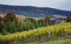 De Bortoli Winery & Restaurant - thumb 0